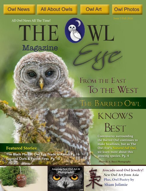 Owl Eye Issue 5_Int