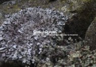 Similacrum