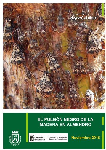 EL PULGÓN NEGRO DE LA MADERA EN ALMENDRO