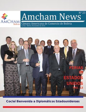 Amcham News