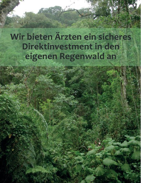 Investement in den eigenen Regenwald