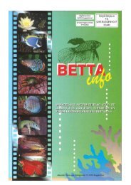 2016 - 11 - Betta-Info