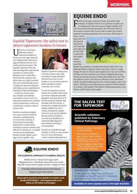 Equestrian Life November 2016 Edition