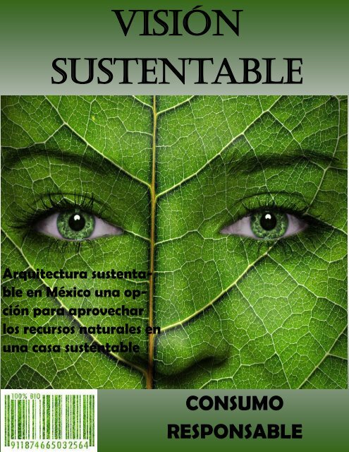 Vision sustentable (revista digital)