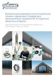 Imagebrochure RUS/DE Gottwald