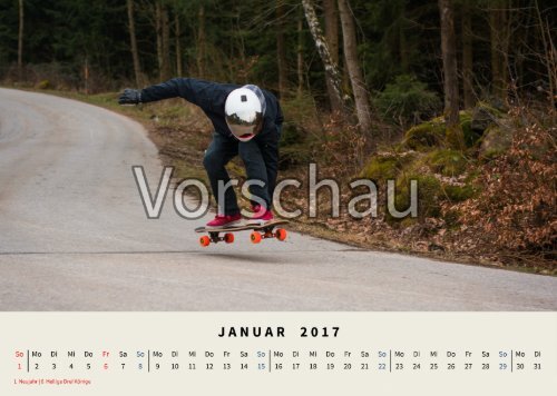 Longboardkalender 2017