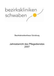 Jahresbericht des Pflegedienstes 2007 - Bezirkskrankenhaus ...