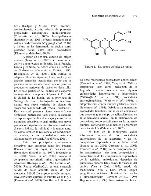 RVCTA Volumen 1 - Número 1