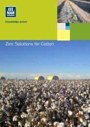 Zinc Solutions for Cotton