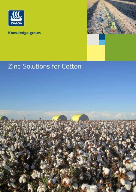 Zinc Solutions for Cotton