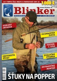 Datovania webovej stránky sumec