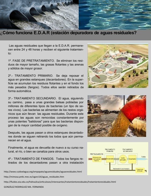 REVISTA 1