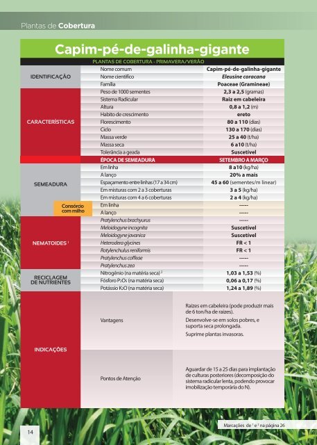 Manual Técnico de Plantas de Cobertura