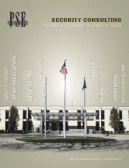 Security Consulting