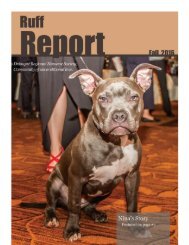 Fall Ruff Report 2016