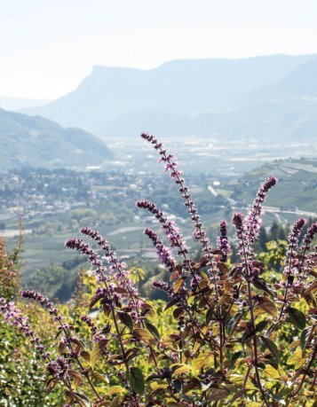 Prospekt Hotel Sonnenhof in Kuens bei Meran 2017 IT