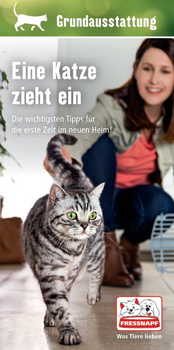 Eine Katze zieht ein