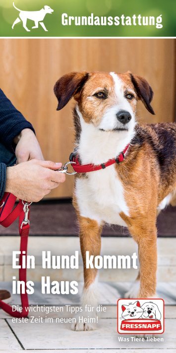 Ein Hund kommt ins Haus