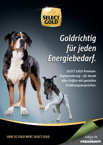 Select Gold active light für den Hund