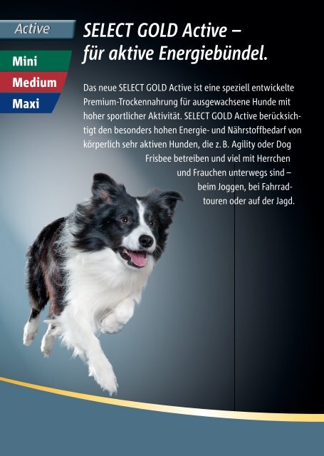 Select Gold active light für den Hund