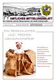 AMTLICHES MITTEILUNGSBLATT - Stadt Schirgiswalde