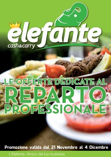 inserto_reparto professionale