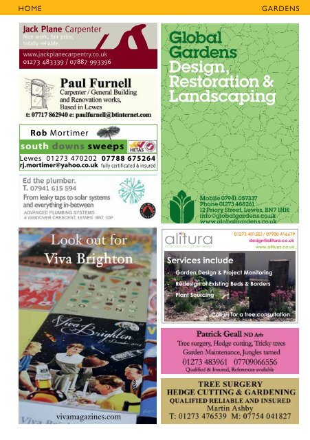 Viva Lewes Issue #123 December 2016