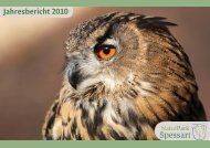 Jahresbericht 2010 - Naturpark Spessart