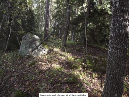 Från skogsklädd höjd till å-nära fält  På jakt efter gammal kultursten i fältlandskapet  Sven-Inge Windahl 2016