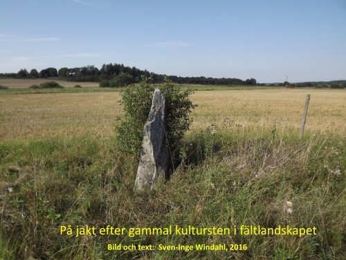 Från skogsklädd höjd till å-nära fält  På jakt efter gammal kultursten i fältlandskapet  Sven-Inge Windahl 2016