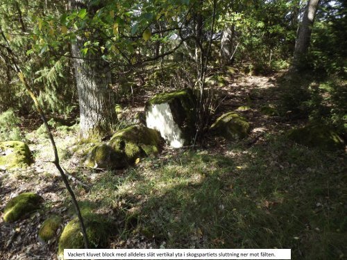 Från skogsklädd höjd till å-nära fält  På jakt efter gammal kultursten i fältlandskapet  Sven-Inge Windahl 2016