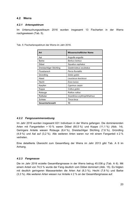 Fischbestandserfassungen in Oberweser und Werra