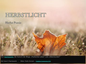 Herbstlicht - Herbst Poesie