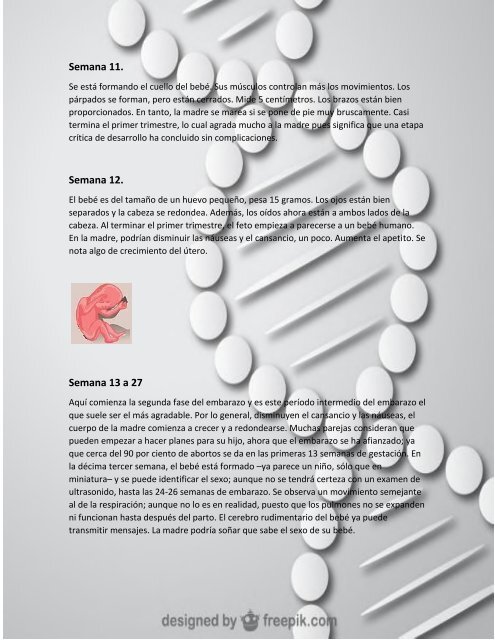 complemento del proyecto integrador