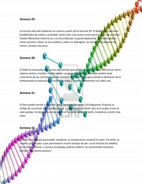 complemento del proyecto integrador