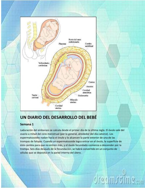 complemento del proyecto integrador