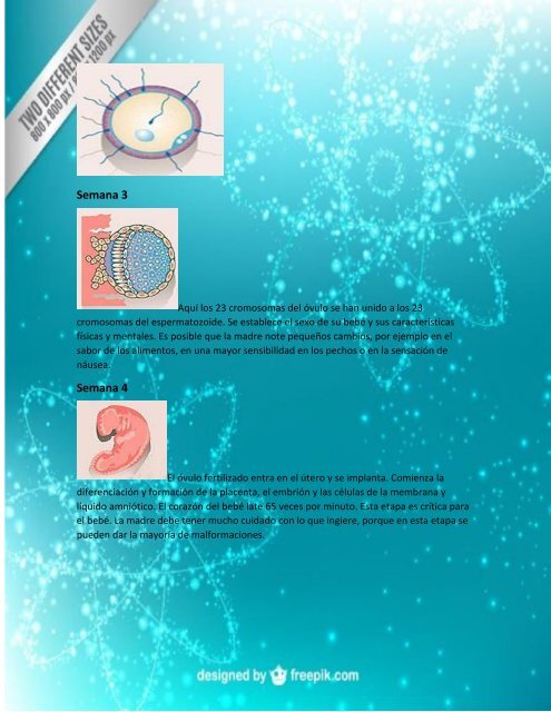 complemento del proyecto integrador