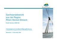 Sachstandsbericht aus der Region Rhein-Neckar-Dreieck