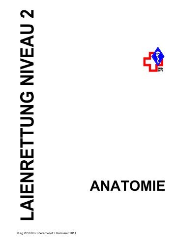 Anatomie Niveau 2 - SMSV