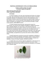 Anatomia Foliar Canga