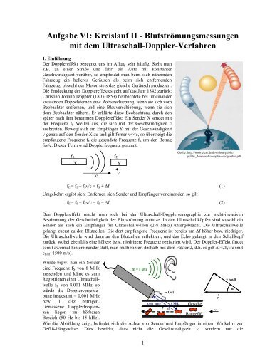 Aufgabe VI: Kreislauf II - Blutströmungsmessungen mit ... - Physiologie