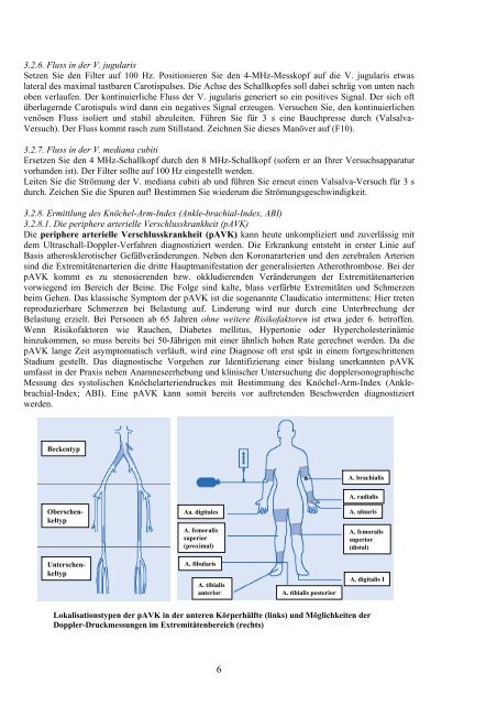 Aufgabe VI: Kreislauf II - Blutströmungsmessungen mit ... - Physiologie