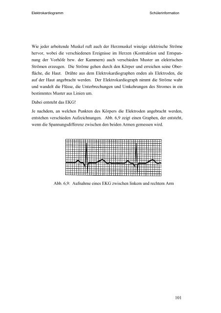 Physikalische Grundlagen des menschlichen Herz-Kreislaufsystems