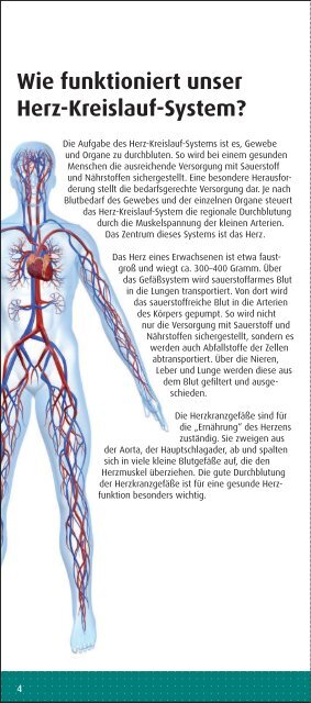 Arteriosklerose - Kyberg Vital