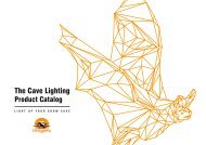 Cave Lighting_Product Catalog - Light up your show cave