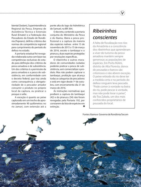 Revista Visão nº 5