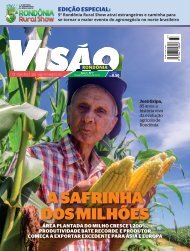 Revista Visão nº 7