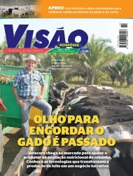 Revista Visão nº 10