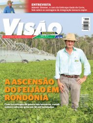 Revista Visão nº 11