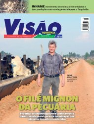 Revista Visão nº 12